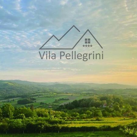 Vila Pellegrini Arandjelovac Exterior foto